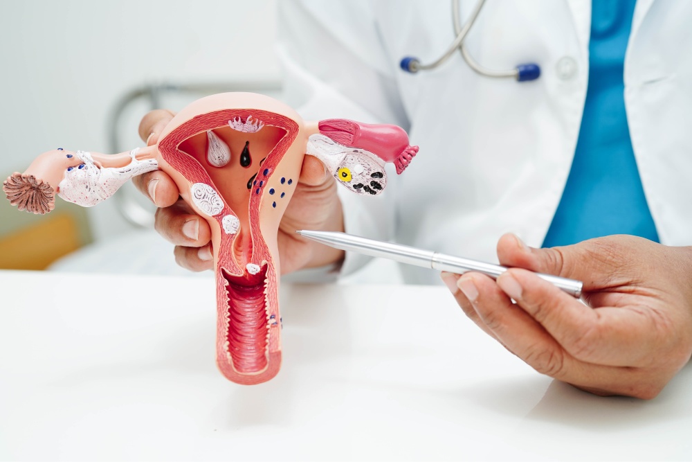 29 Essential Questions To Ask Your Gynecologist